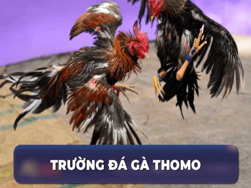 thomo67-2