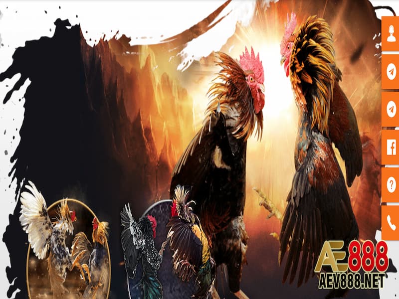 Ae88841 - Trải nghiệm cá cược nhận khuyến mãi cực cao 2 ae88841-1